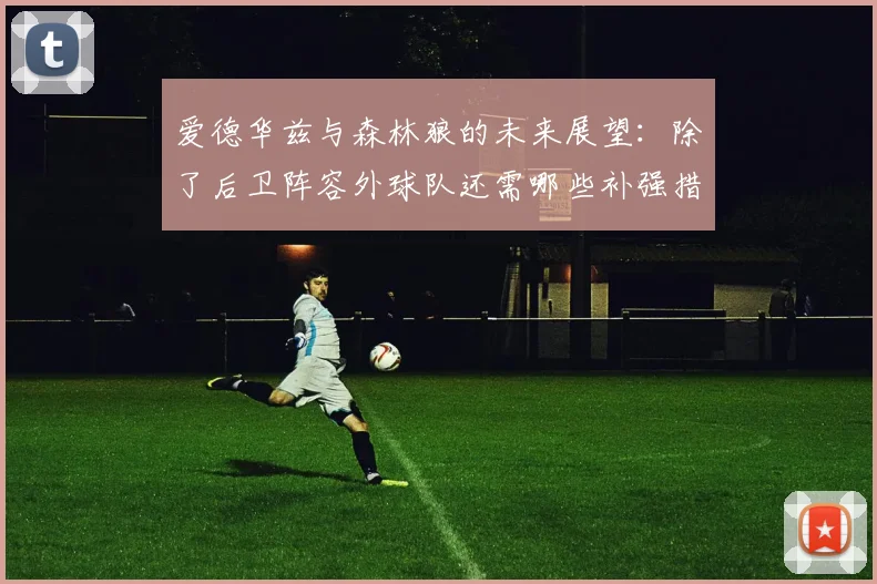 爱德华兹与森林狼的未来展望：除了后卫阵容外球队还需哪些补强措施